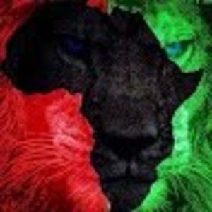 Meet your Posher, Isaiah